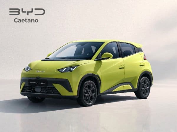 BYD Dolphin Surf