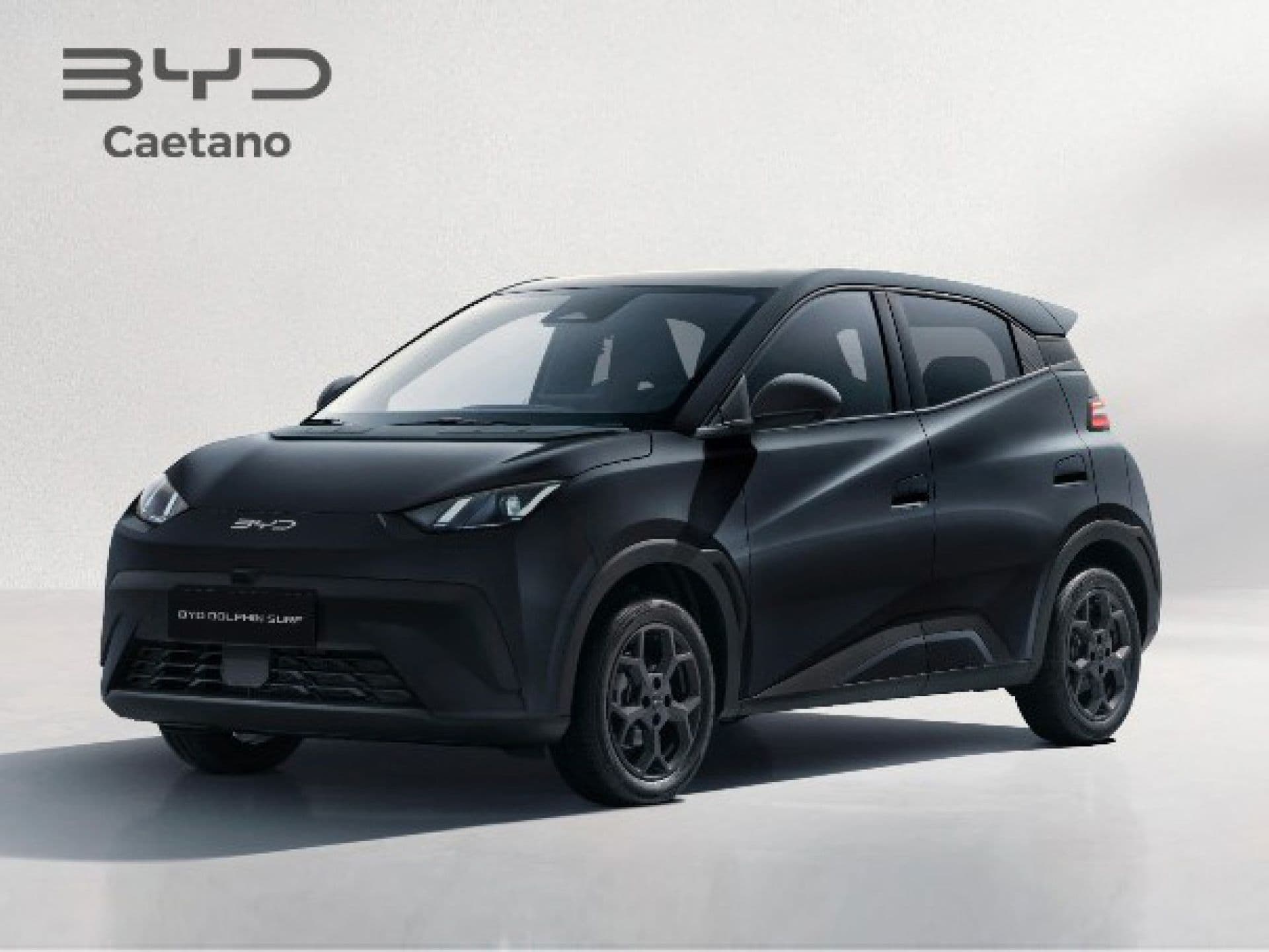 BYD Dolphin Surf