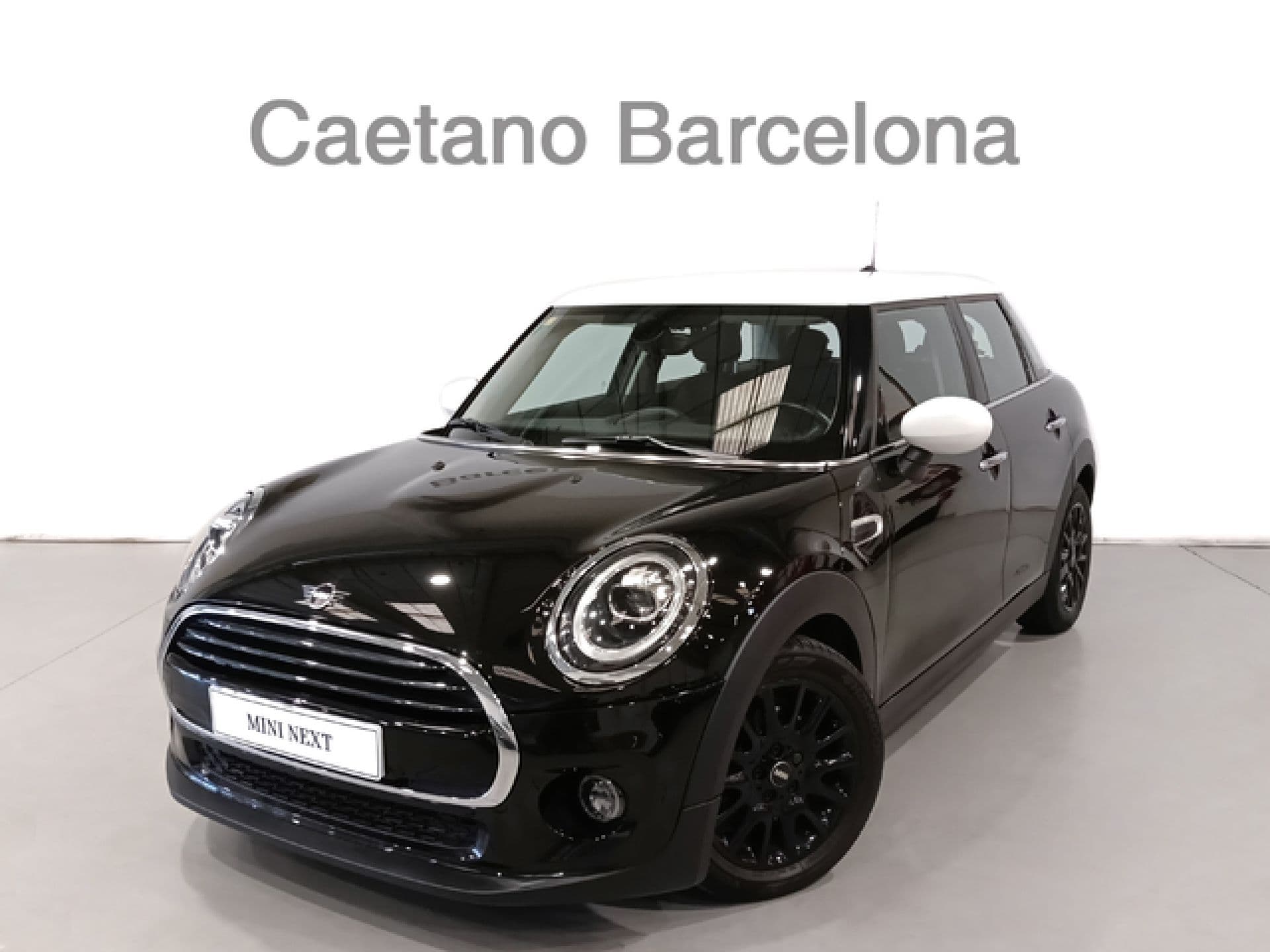 Mini Mini