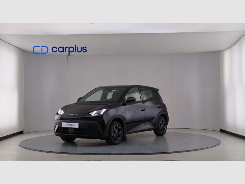 BYD Dolphin Surf