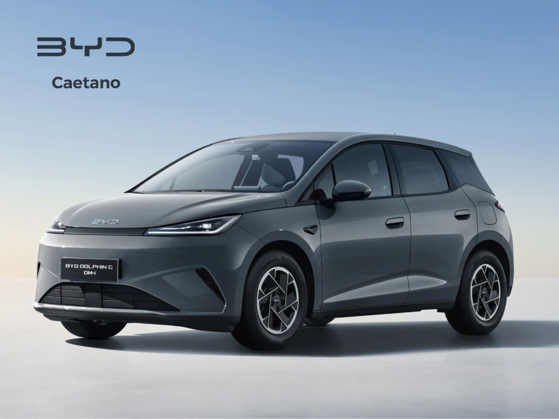 BYD Dolphin G