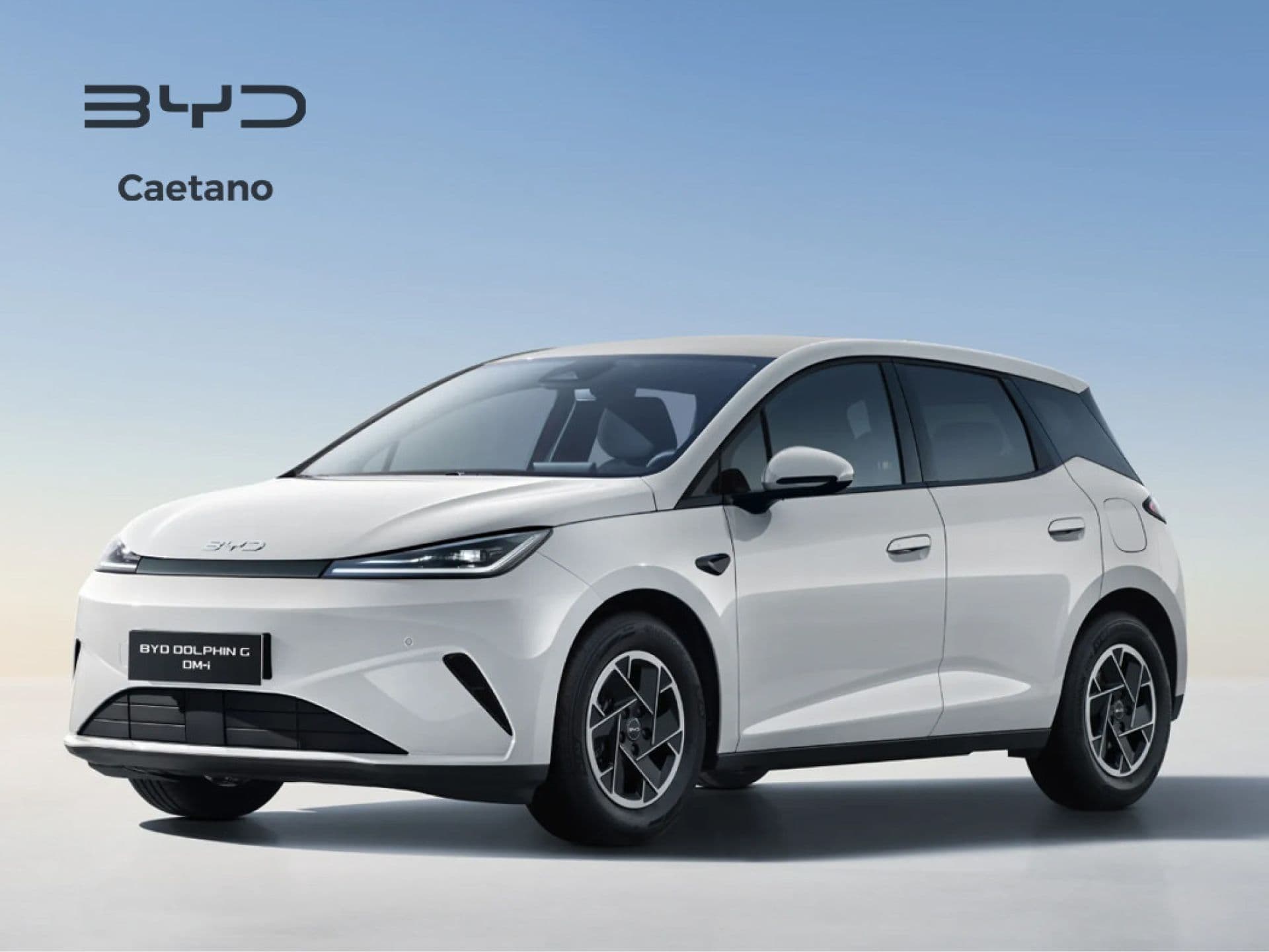 BYD Dolphin G