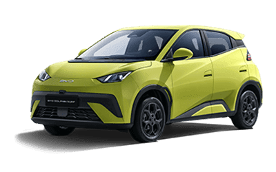 BYD DOLPHIN SURF