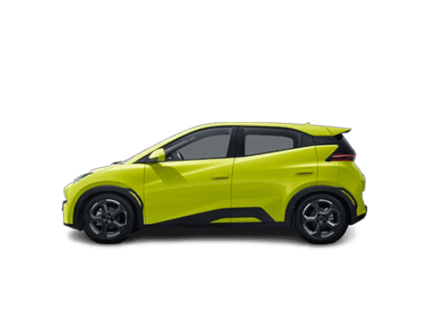 BYD Dolphin Surf