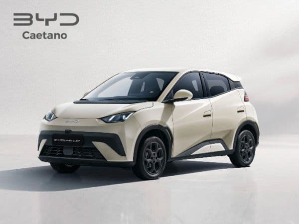BYD Dolphin Surf