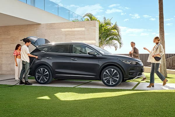 Precio BYD Tang