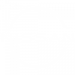 cropped-logo-nissan-250x250 logo nissan