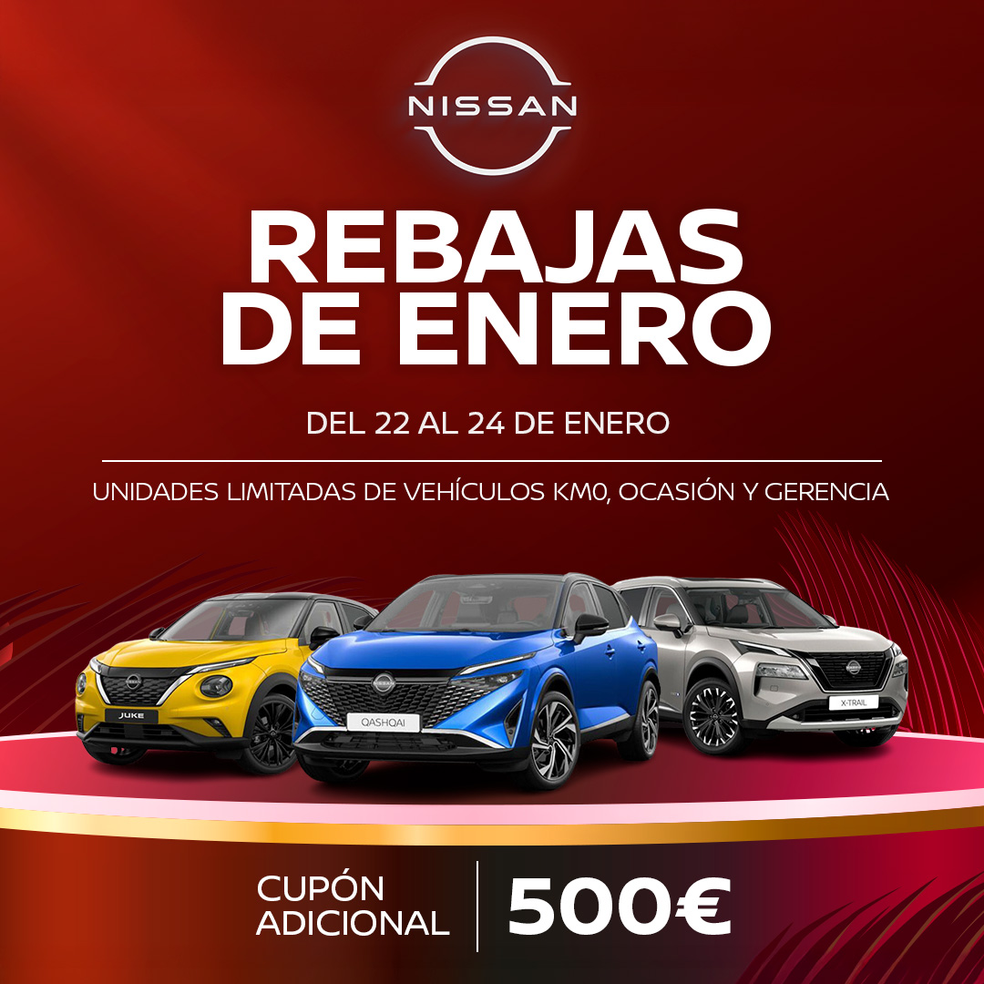 REBAJAS ENERO