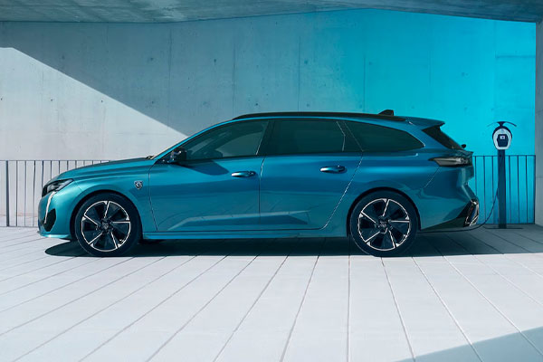 308-SW Electrico 308-SW Electrico