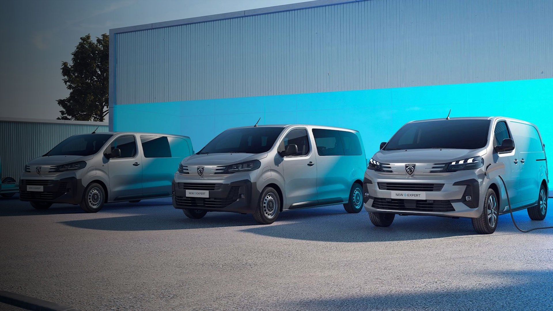 carga peugeot expert electrica