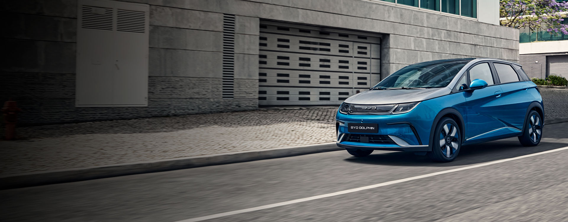 Nuevo BYD Dolphin