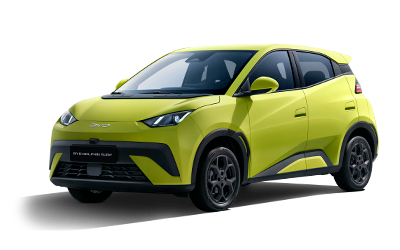 Dolphin Surf mini Dolphin Surf mini