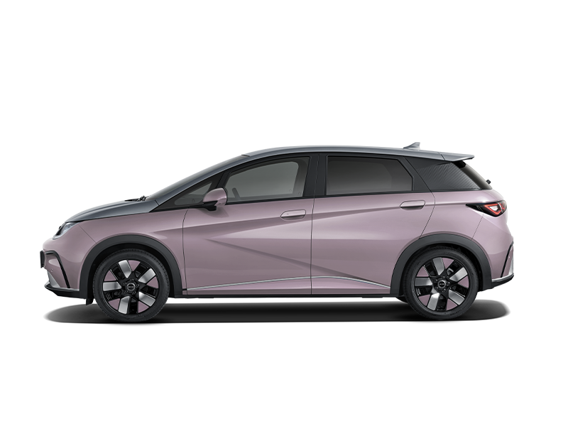 Nuevo byd Dolphin Design coche electrico