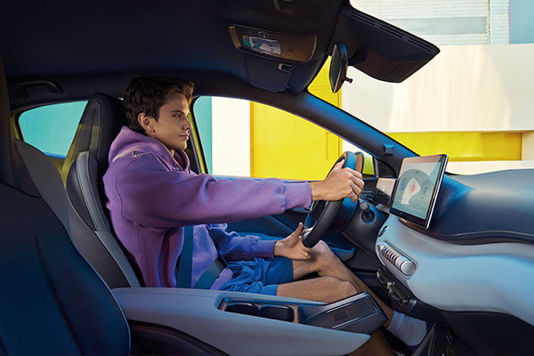 Byd Dolphin Surf urbano interior