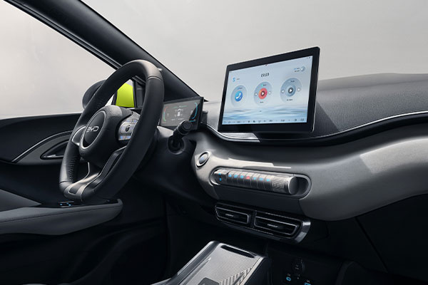 Interior BYD Dolphin Surf