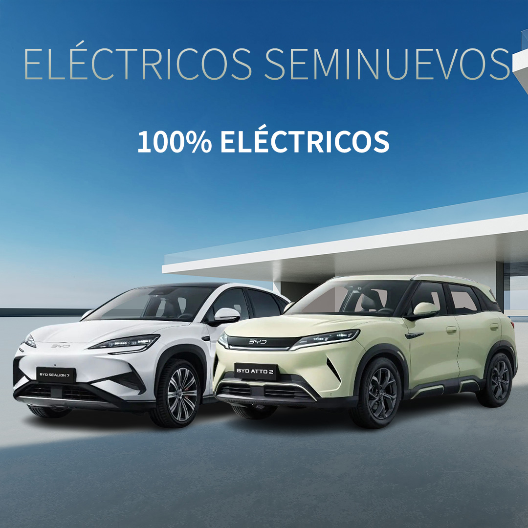 EléctricosSeminuevos