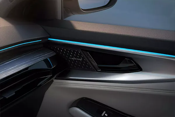 Foto detalle del mango de la puerta del Renault Espace
