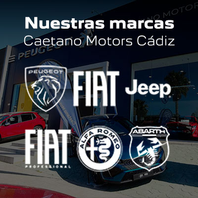 Marcas Stellantis Caetano