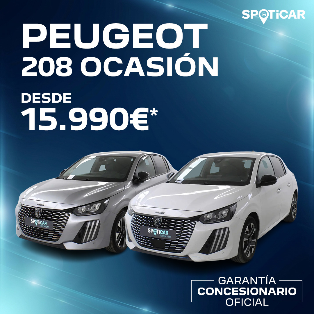 208 OCASIÓN