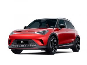 Smart 1 brabus de segunda mano