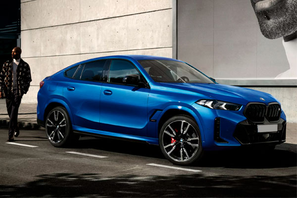 CV BMW X6 M
