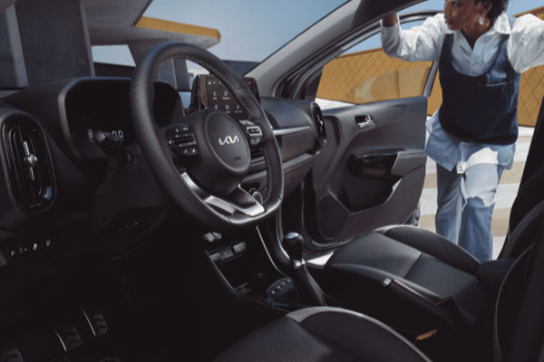 detalles-calidad-picanto