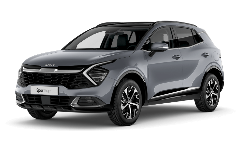 19_58_sportage_Model