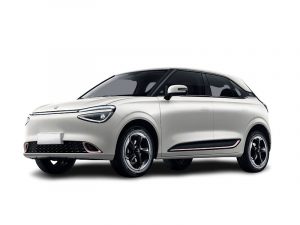 probar dongfeng box electrico en Madrid