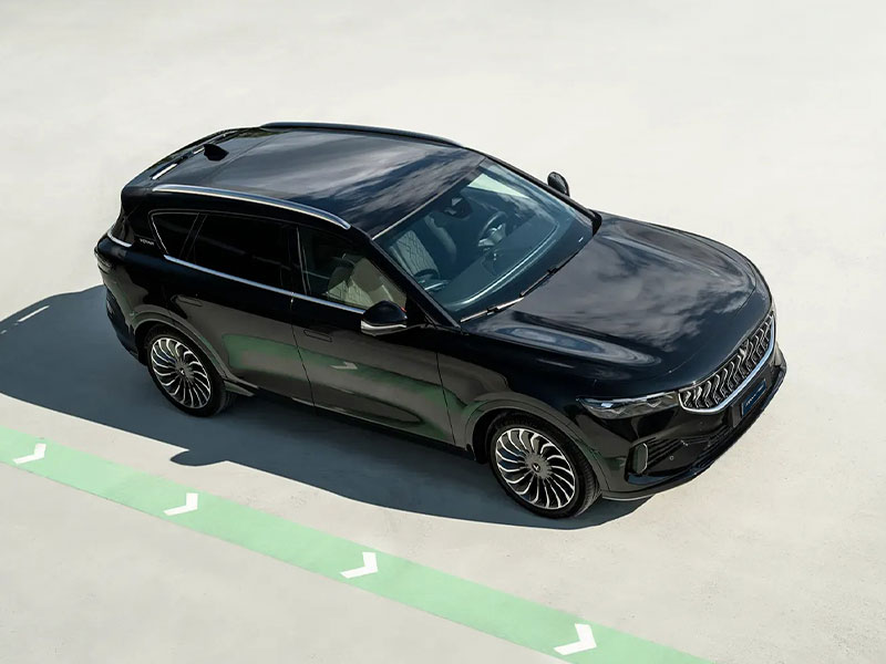 black-line-4 Nuevo Voyah Free edicion negra