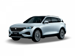 nuevo voyah free en caetano force