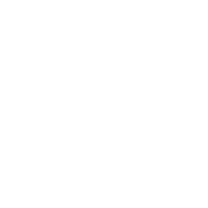 logo xpeng