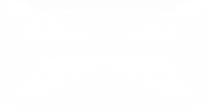 YDRAY-LOGO-IN-WHITE xpeng logo